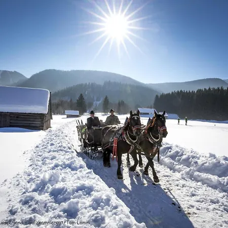 Leben!pur - Alpenlofts Apartament